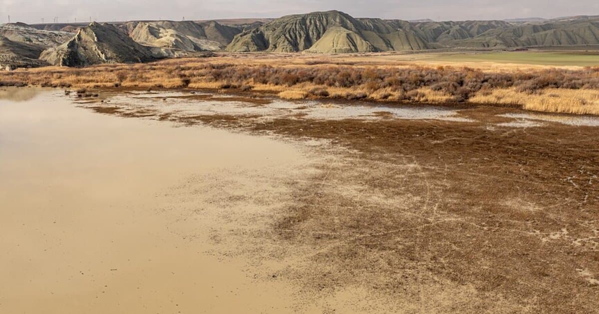 Türkiye 2050'den itibaren sıcak ve kurak bozkır iklimine giriyor