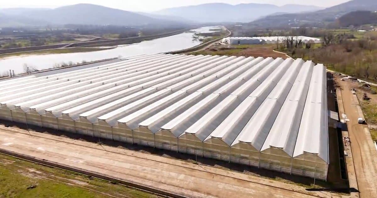 Zonguldak Çaycuma Sera'da üretim başladı