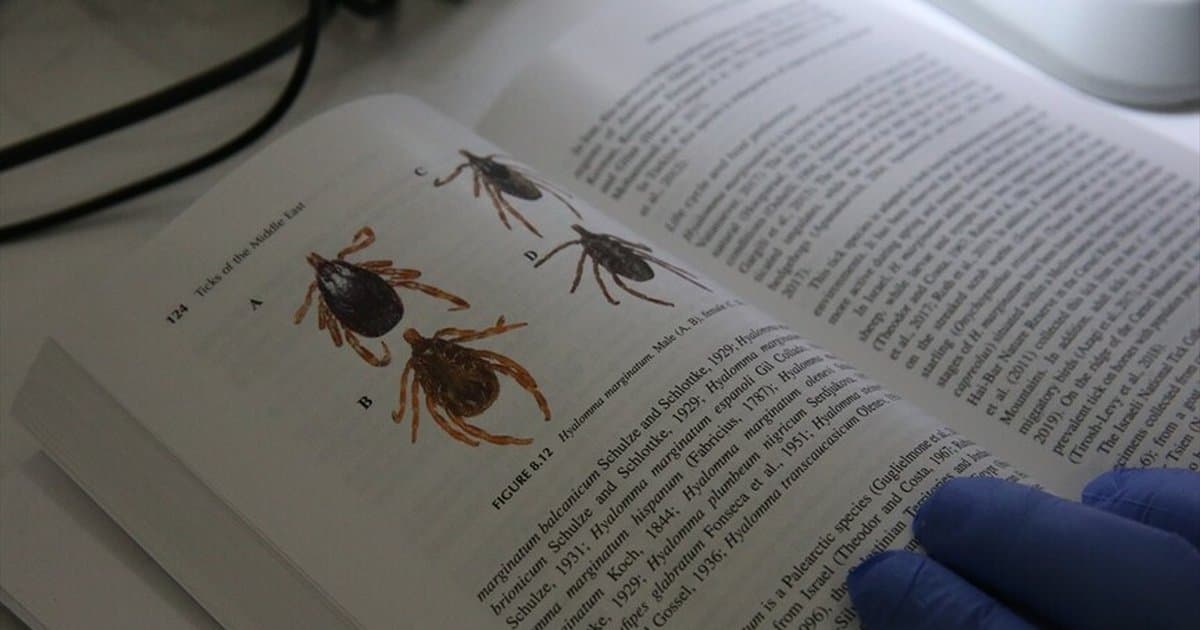 Orta Doğu'daki kene türleri kayıt altına alındı