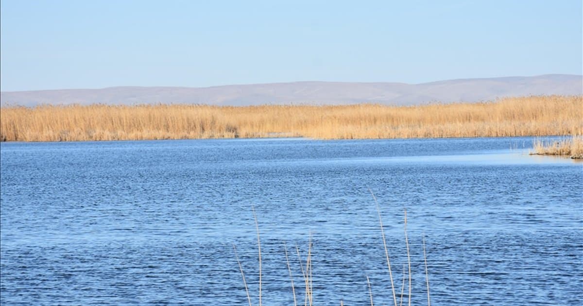 Sıfır Atık Vakfı'ndan Eber Gölü için eylem planı katkısı