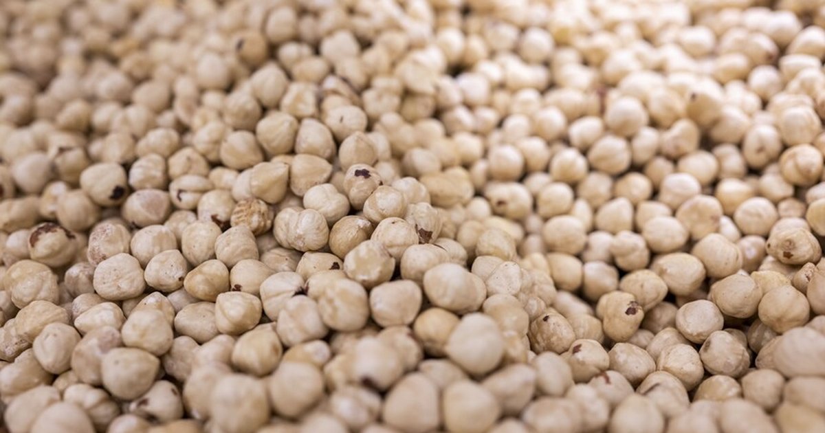 Düzce'den AB ülkelerine 5 bin 981 ton fındık ihracatı