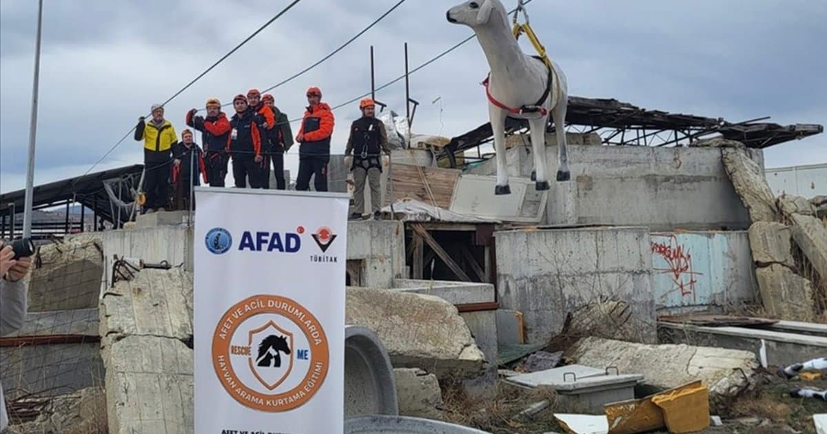 AFAD'dan afetlerde hayvan koruma projesi
