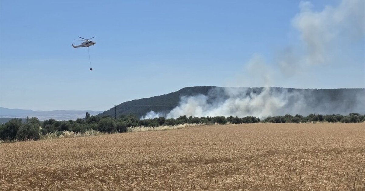 Çanakkale'de tarım arazisinde yangın