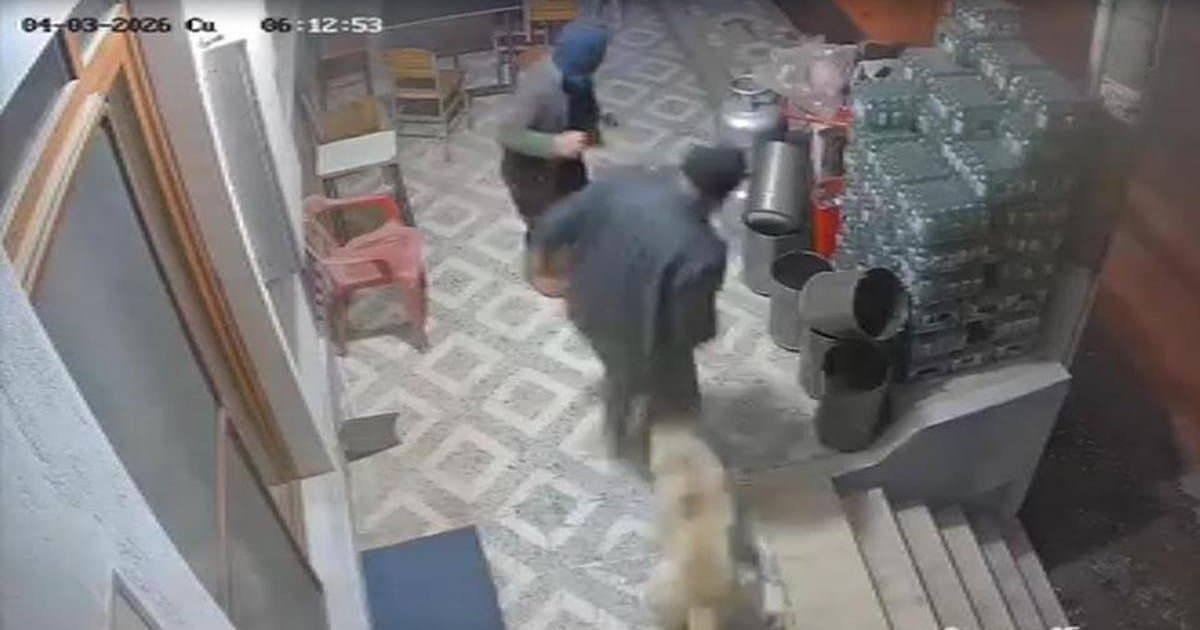 Manisa'da köpek saldırısı: Parmağı koptu