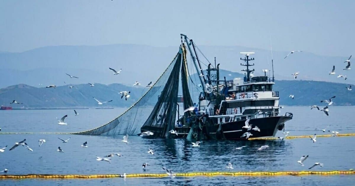 Denizlerde av yasağı 15 Nisan'da başlıyor