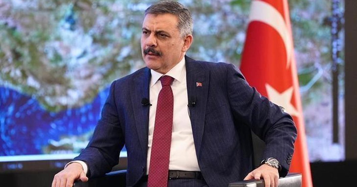 Bakan Çiftçi: Sahipsiz sokak hayvanlarının yüzde 83'ü toplandı