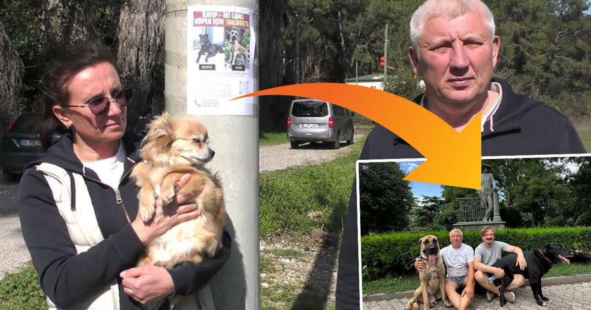 Rus Aileler, Kayıp Köpeklerini Arıyor