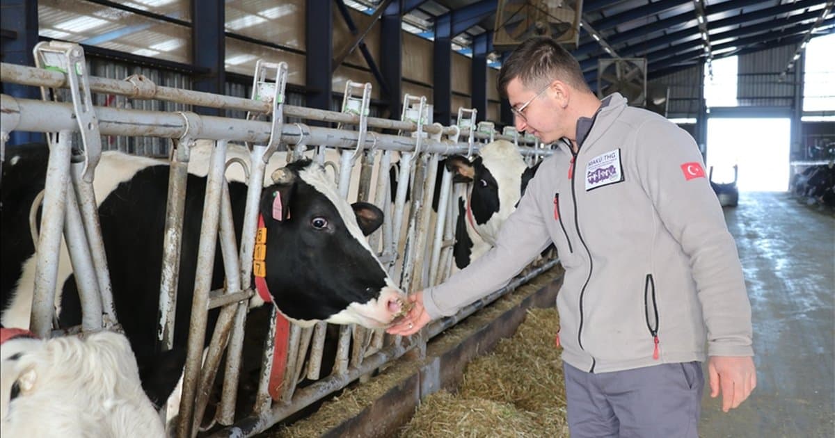 Küpeli Çoban'dan modern çiftlik hamlesi