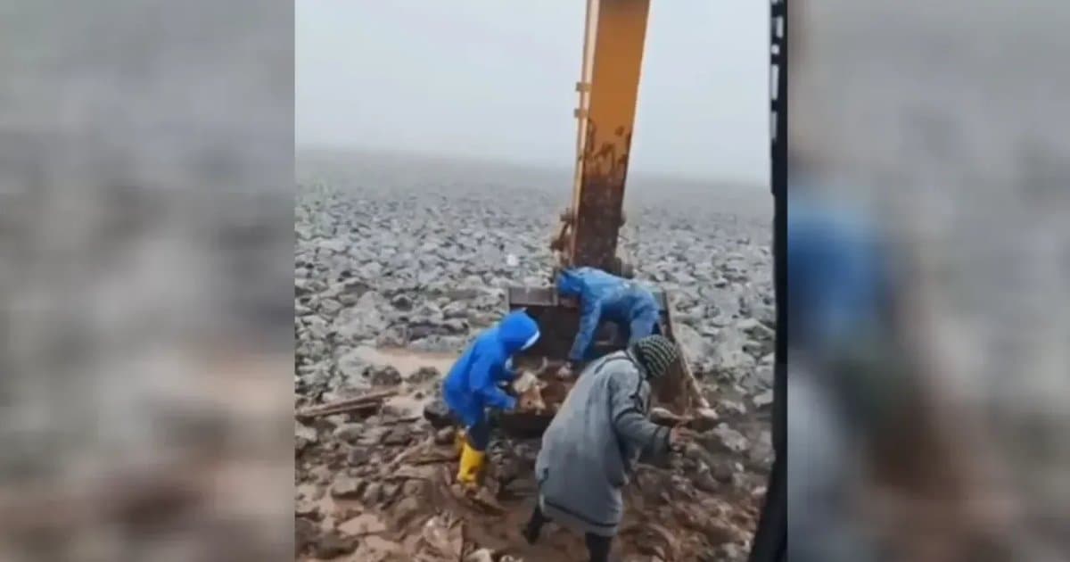 Şanlıurfa'da çamura saplanan inek kurtarıldı