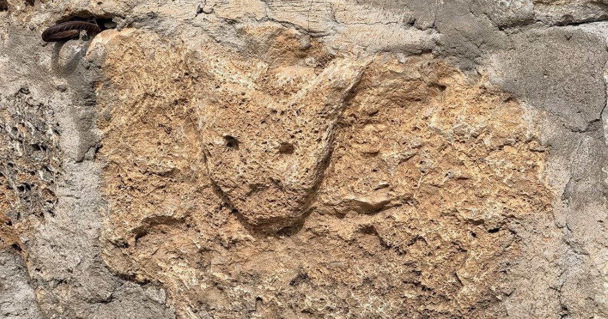30 yıl önce yapılan ev turistlerin ilgi odağı