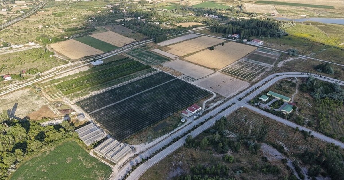 Arıtılmış atık sular üniversitede yeşil alanlarda kullanılıyor