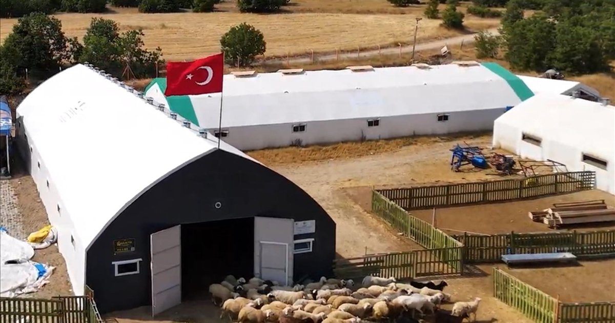 Devlet desteğiyle küçükbaş hayvan sayısı artırıldı