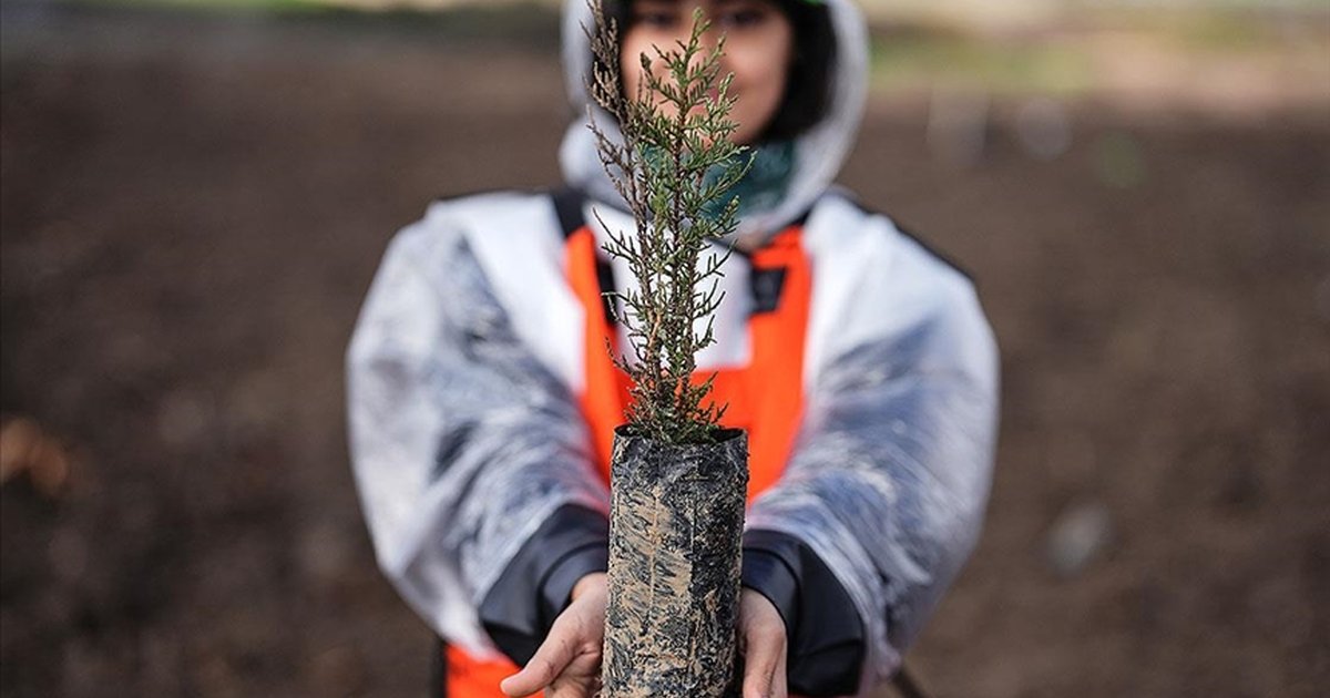 Türkiye 600 milyon fidanla yeşillenecek