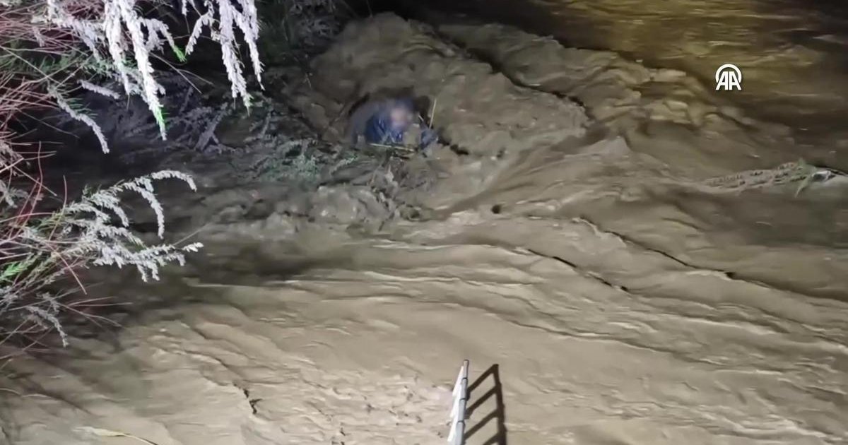 Ağaç dallarıyla hayata tutundu! Sürücü mucizevi kurtarıldı