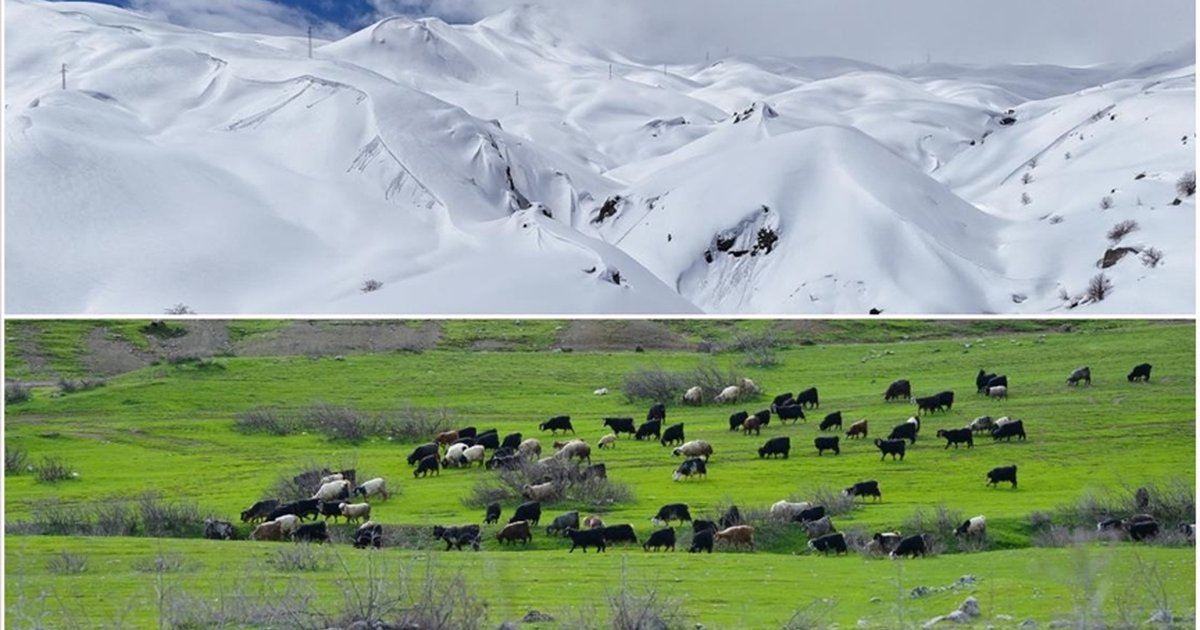 Hakkari'de bir yanda bahar, diğer yanda kış