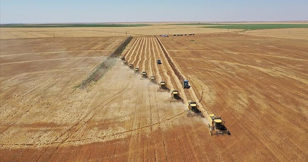 Tarım Bakanlığı'ndan Toprak Koruma Planı