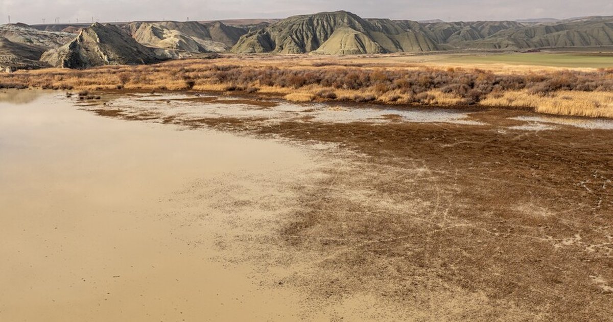 Türkiye 2050'den itibaren sıcak ve kurak bozkır iklimine giriyor