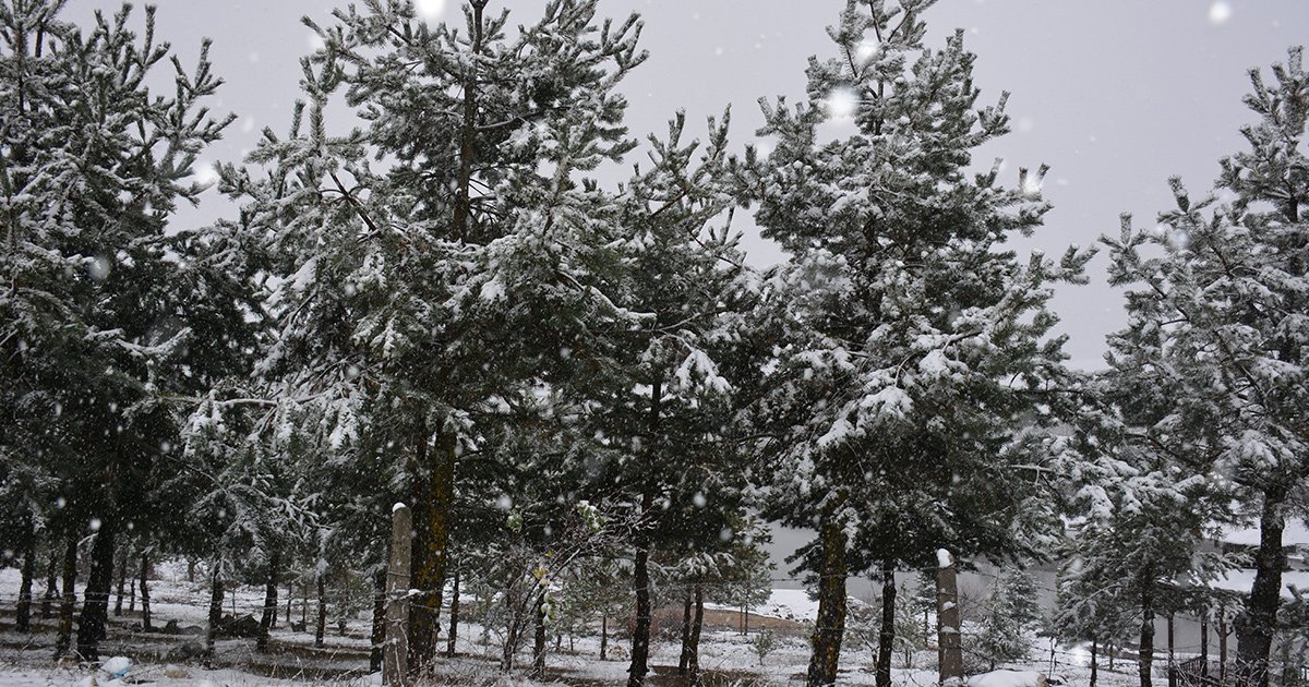 Bahar ayına kar sürprizi: Türkiye'nin birçok bölgesinde kar yağışı