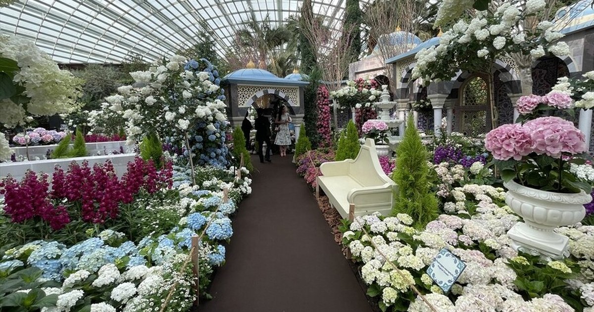Singapur'da İstanbul temalı 'Blue Beauties' sergisi açıldı
