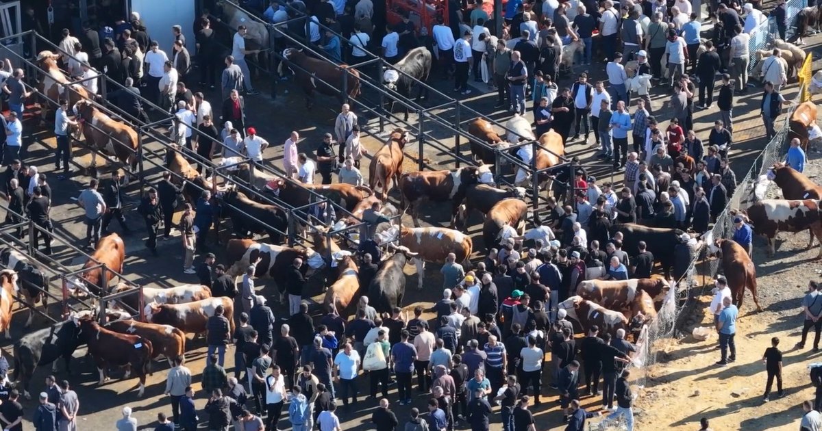 Kurban Bayramı'nda İstanbul'da yoğunluk