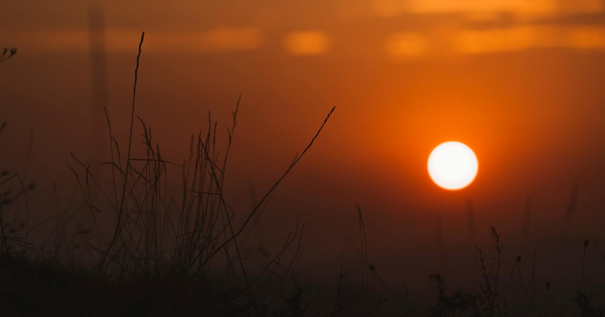 Akrabanın Düğünde Altın Takmamasına İcra İle İntikam
