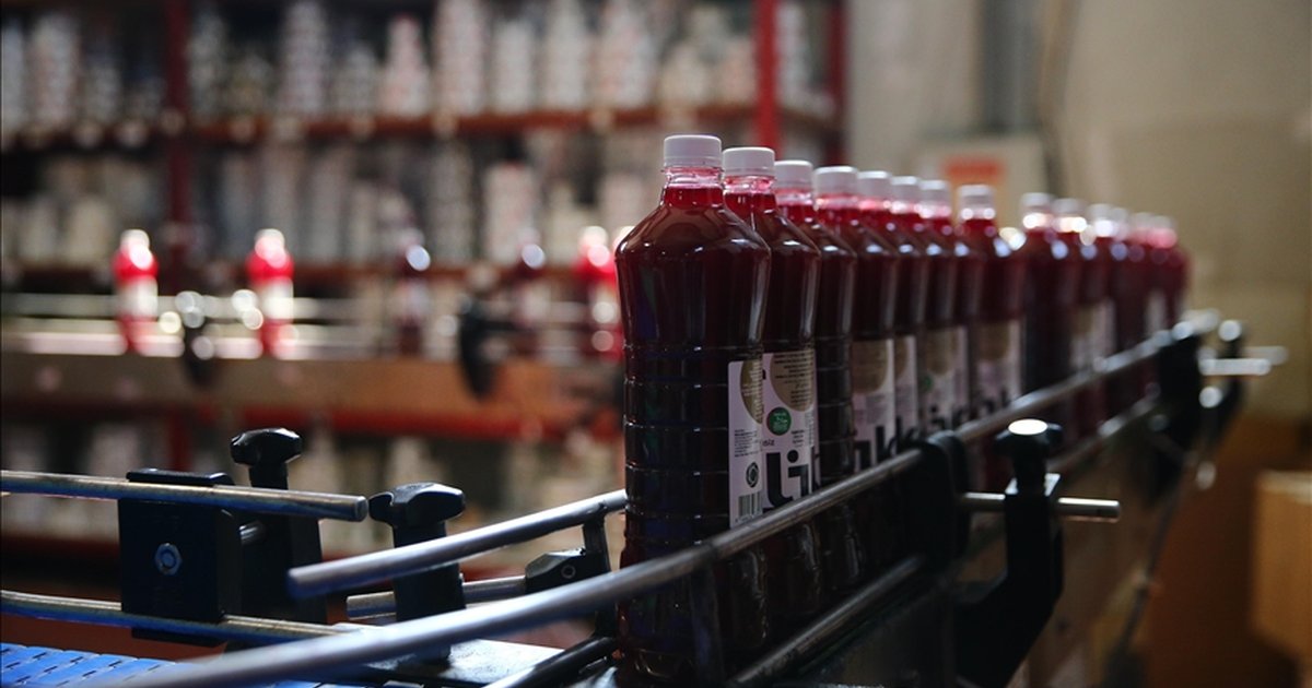 Adana şalgam suyunun AB tescili üreticileri sevindirdi