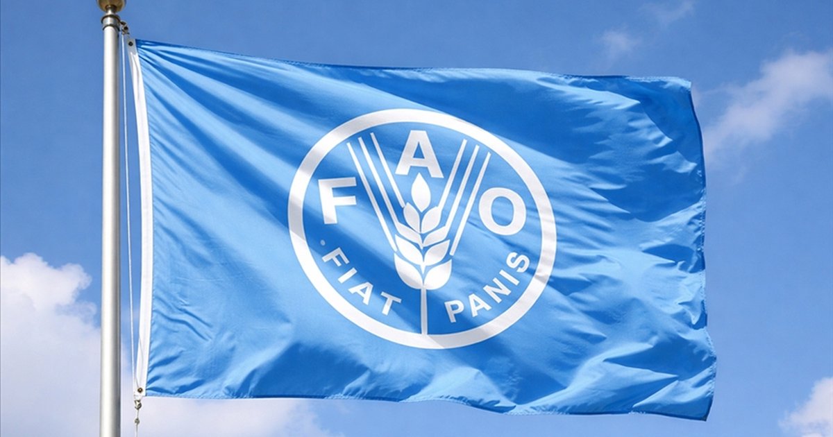 BM Gıda ve Tarım Örgütü: İran'daki çatışmaların etkisi 2-3 ay sürebilir