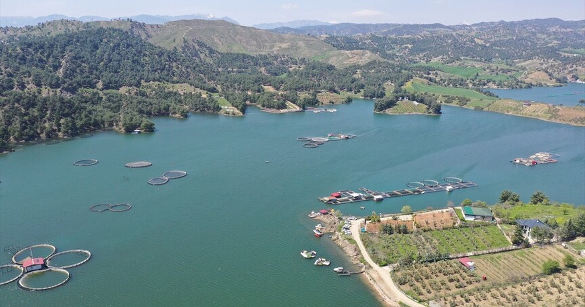 Kahramanmaraş'ta Yağışlar Barajları Doldurdu