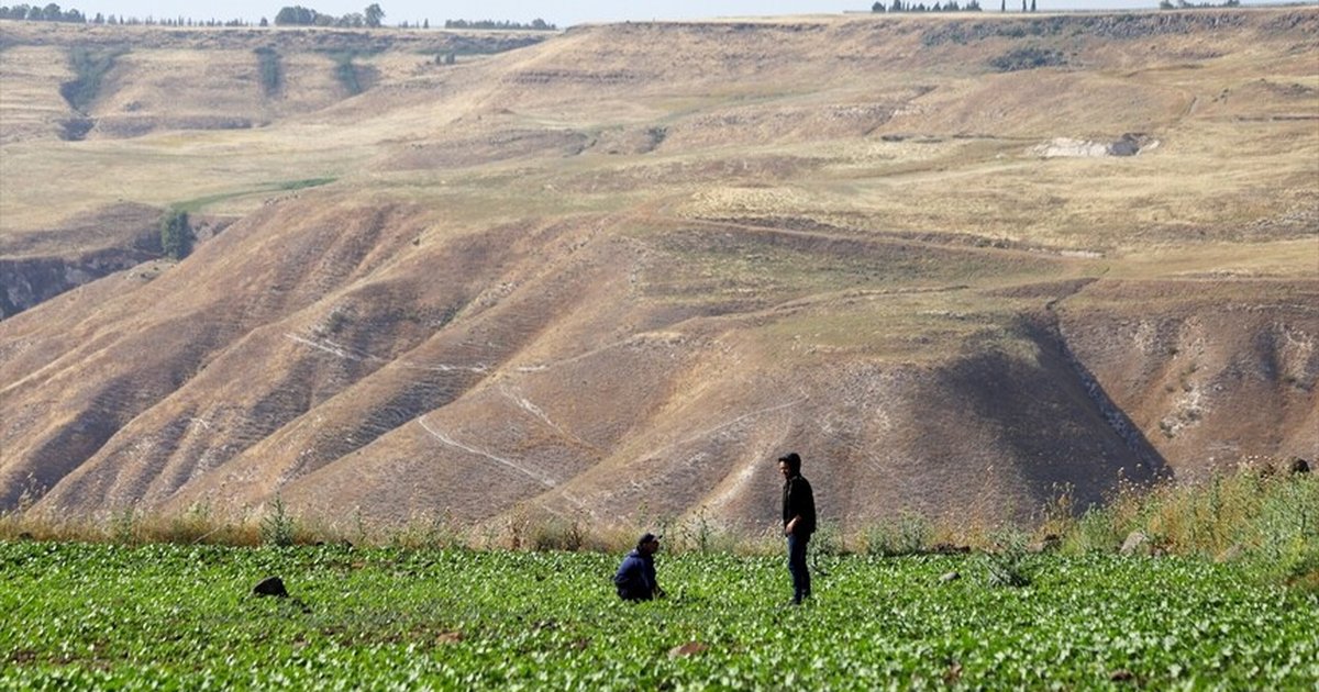 İsrail'in Yermuk Havzası'ndaki ihlalleri çiftçileri etkiliyor