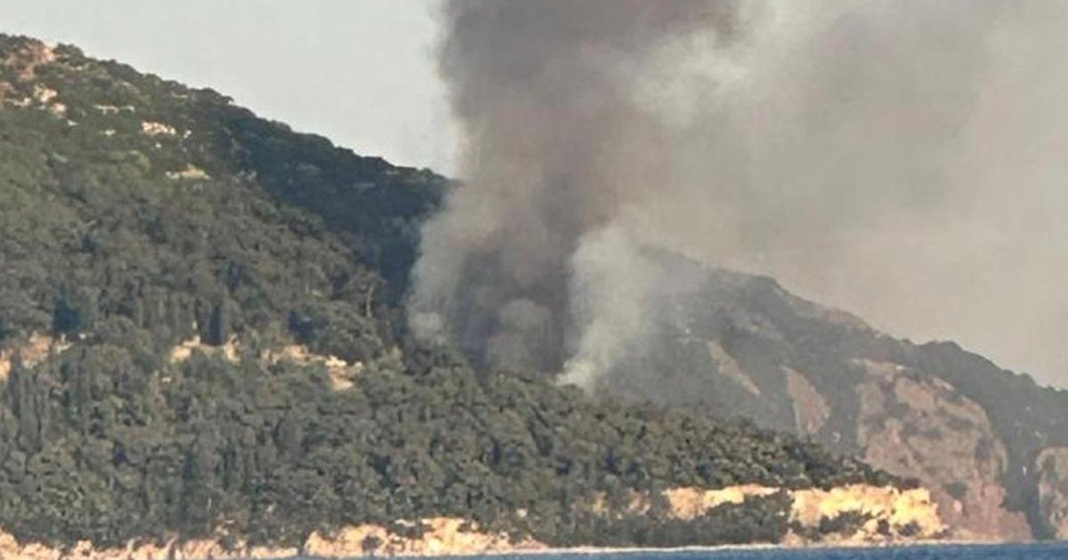 Viranbağ Plajı'nda yangın paniği