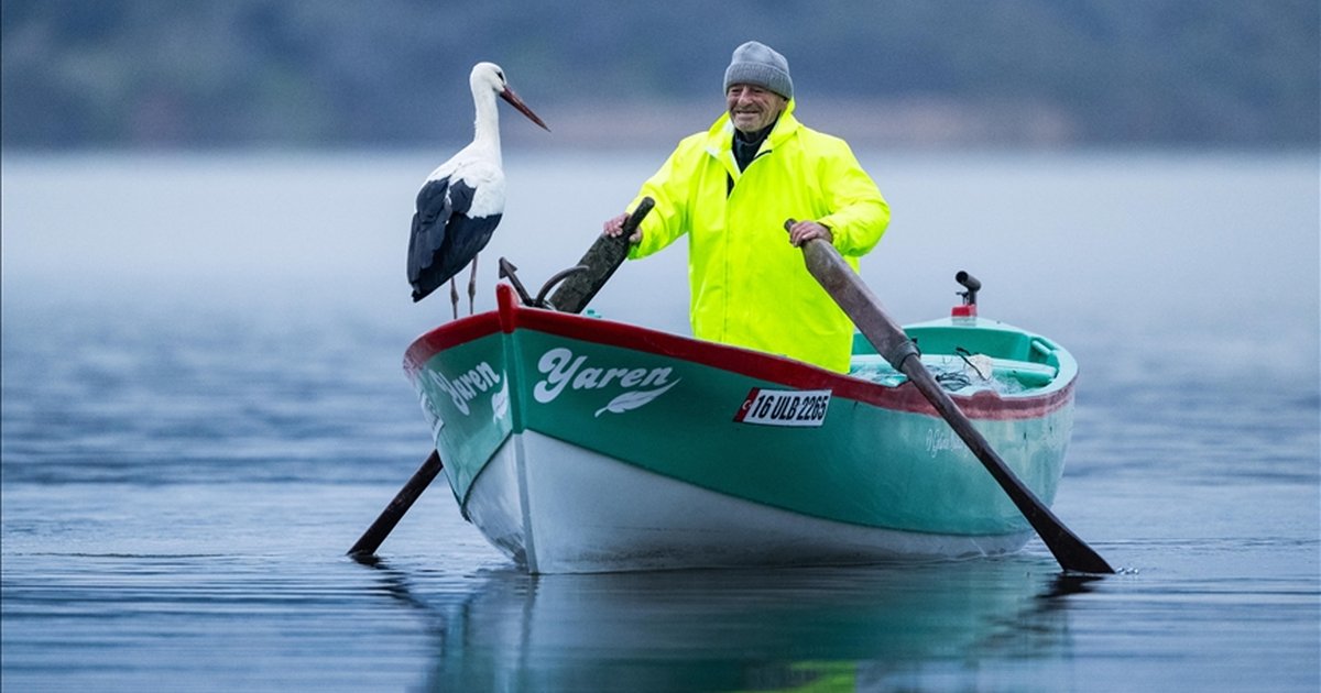 Yaren leylek 15'inci yılda da Bursa'ya geldi