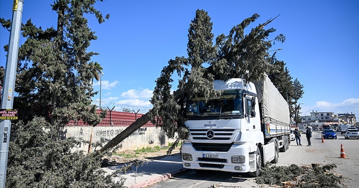 Adana'da Kuvvetli Rüzgar: Okul Çatısı Uçtu, Ağaçlar Devrildi