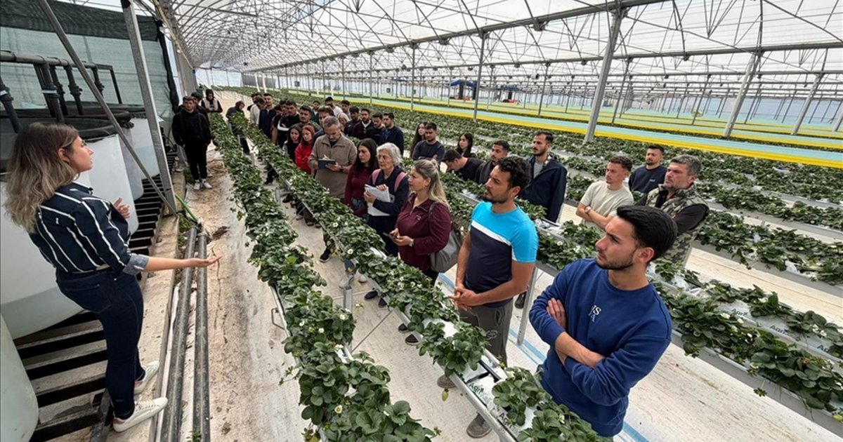 Antalya'da üniversite öğrencileri topraksız tarımla tanıştı
