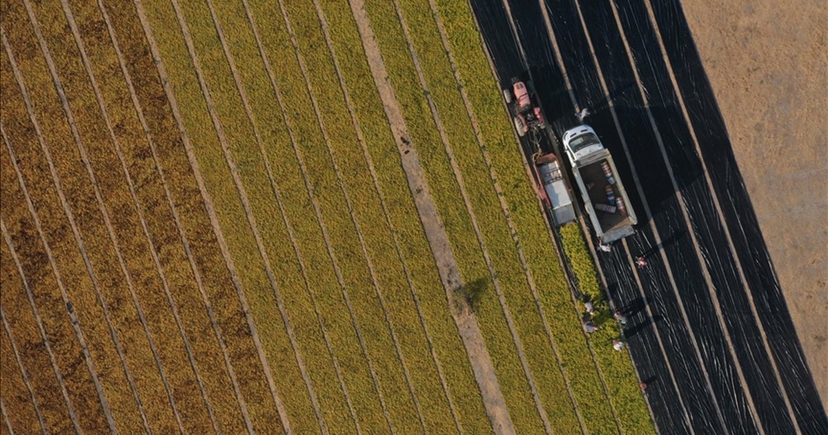 Tarıma Hazine destekli krediler
