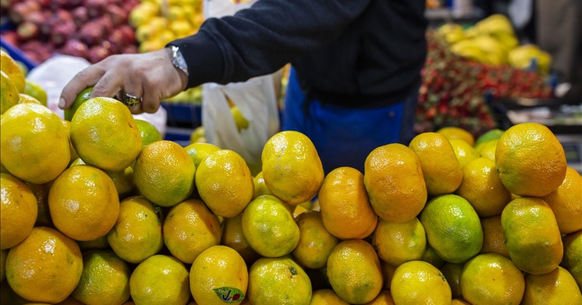 Tarım ve Gıda Sektöründen Ocak Ayında 2,4 Milyar Dolarlık İhracat