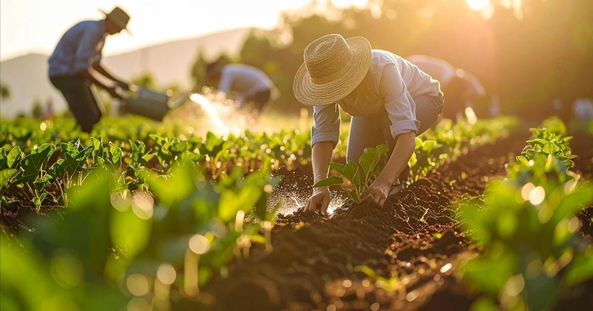 Gübre Ham Maddesi Üre İthalatında Gümrük Vergisi Sıfırlandı