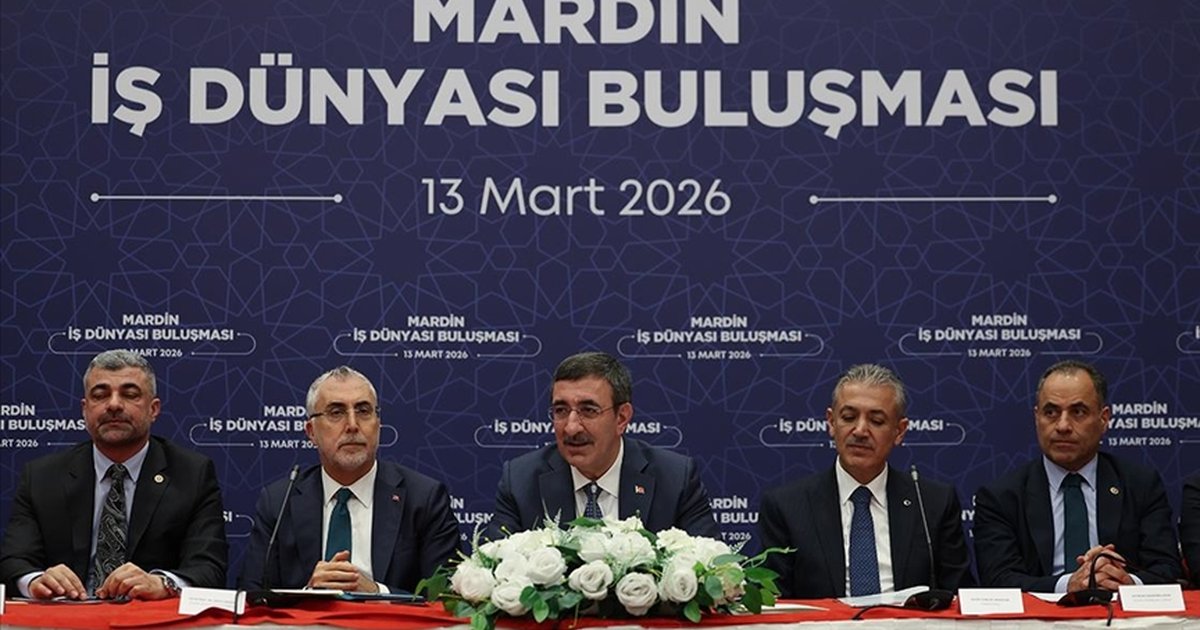 Cumhurbaşkanı Yardımcısı Yılmaz'dan Doğu ve Güneydoğu'ya yatırım açıklaması