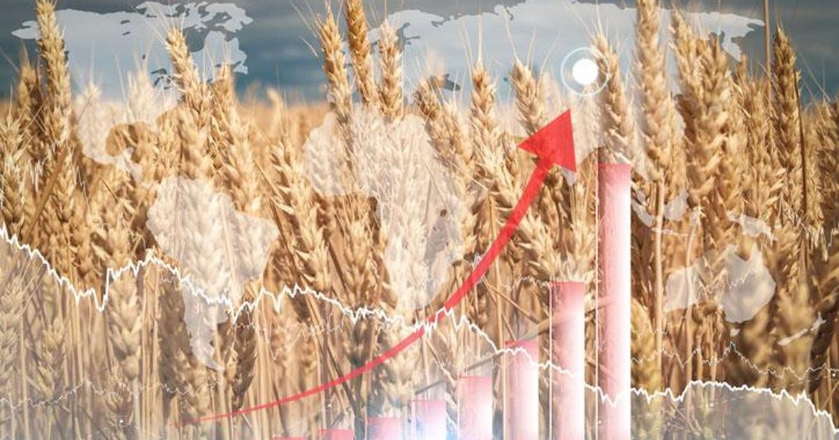 Savaşın etkisi gıda fiyatlarına yansıyacak mı?