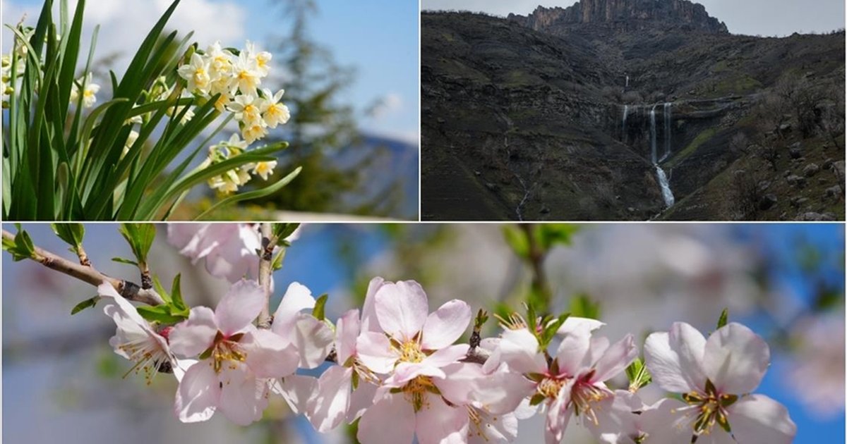 Hakkari'nin Derecik ilçesinde doğa canlandı