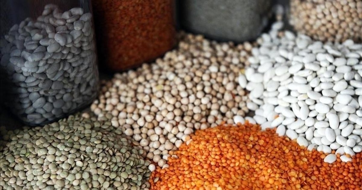 Güneydoğu'dan 552,8 milyon dolarlık hububat ihracatı