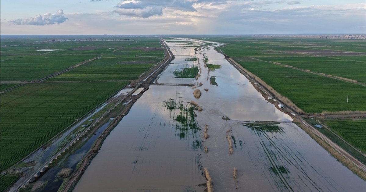 Suriye'de aşırı yağışlar sonrası nehir taştı, araziler su altında kaldı