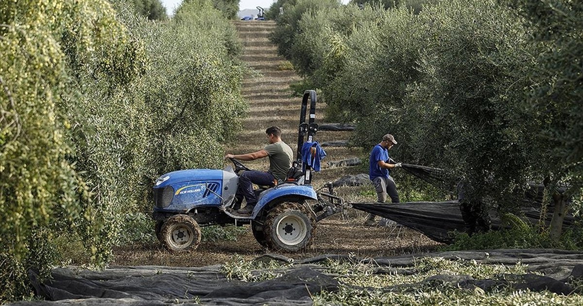 İspanya tarım ve hayvancılığı destekleyecek
