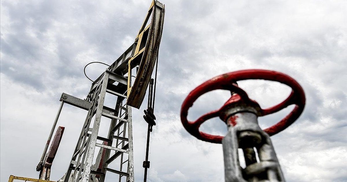 Rusya enerji kaynaklarını komşulara tedarik edecek