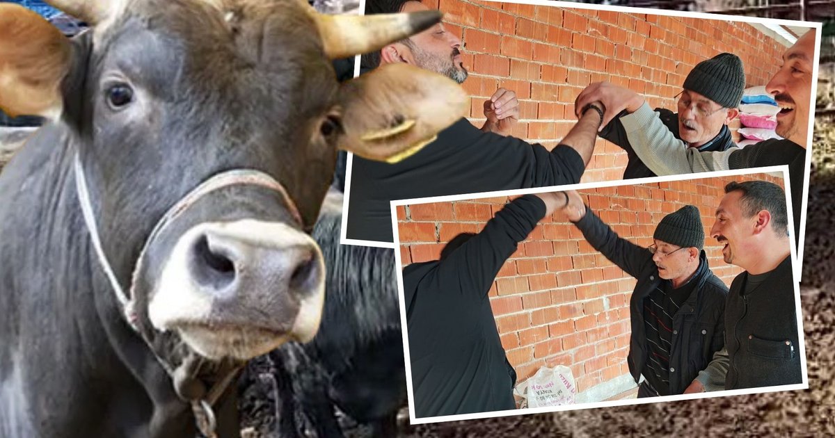 Yarım saat süren kurban pazarlığı