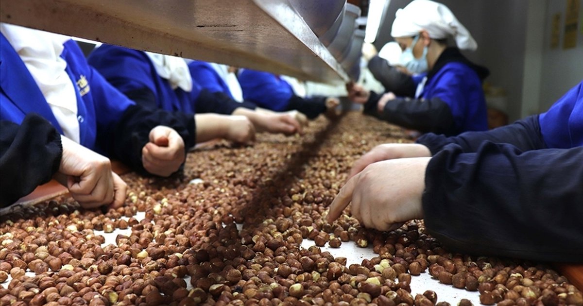 Giresun'da kadın çalışanlar ihracata en fazla katkıyı sağladı