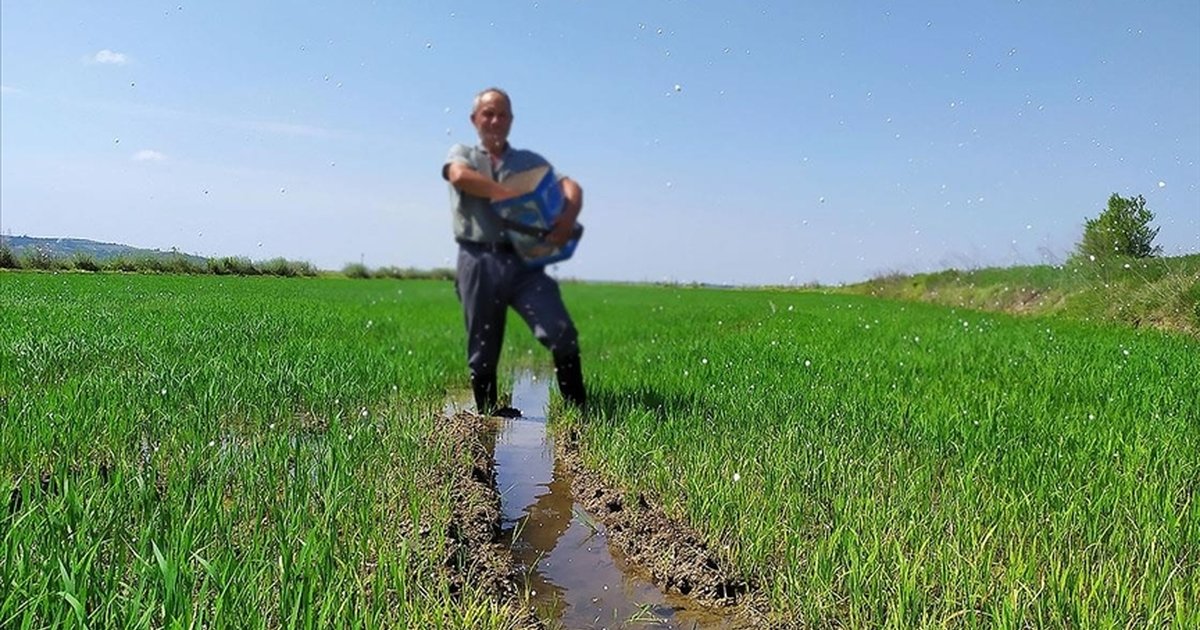 Gübre sektörü gümrük vergisi değişikliğinden memnun