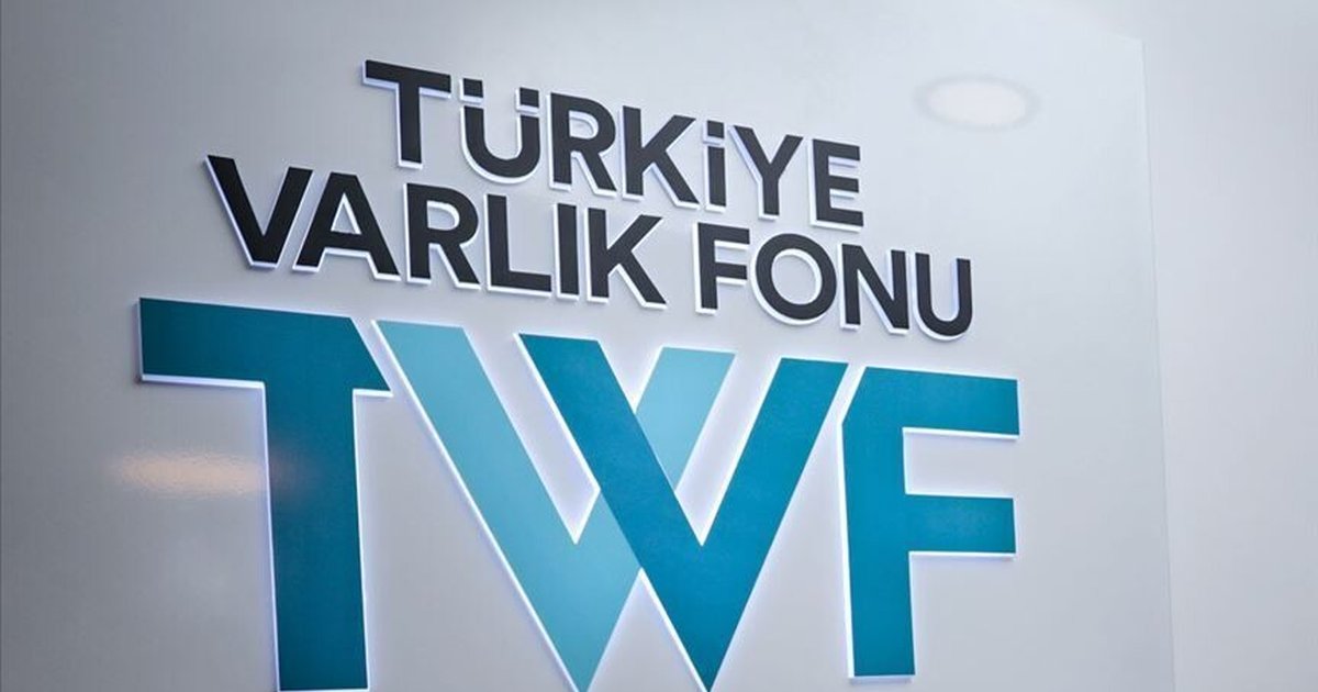 Türkiye Varlık Fonu, Türkiye Sigorta'da pay arzı yaptı
