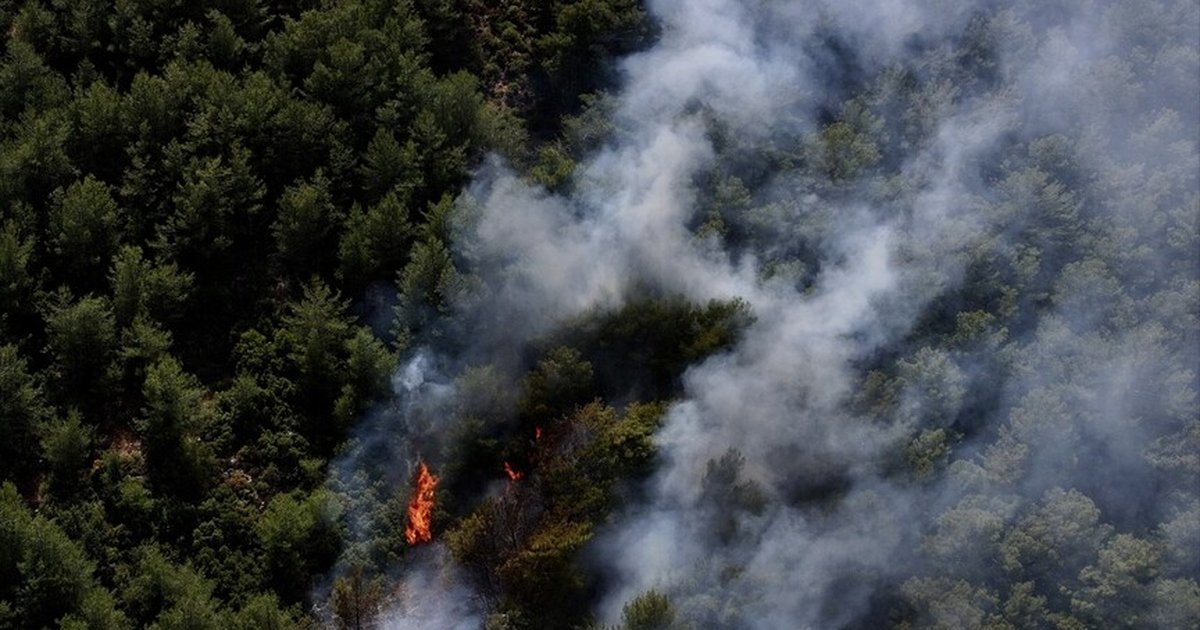 Fethiye'deki orman yangını kontrol altına alındı