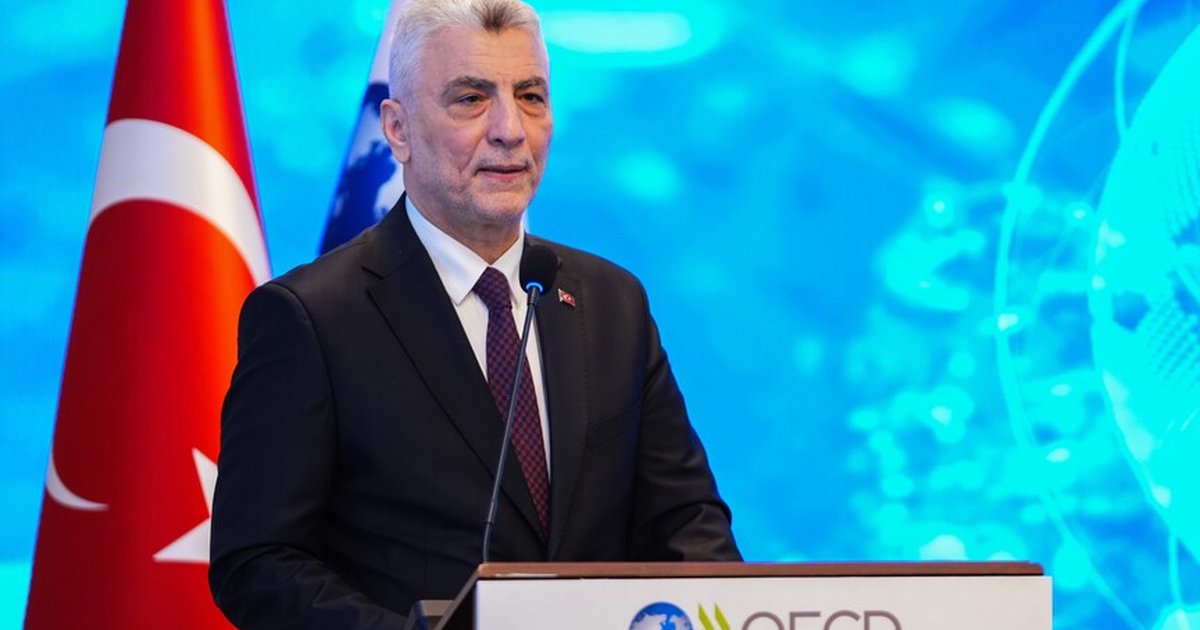 Bakan Bolat, OECD'de ticaret sisteminin önemini vurguladı