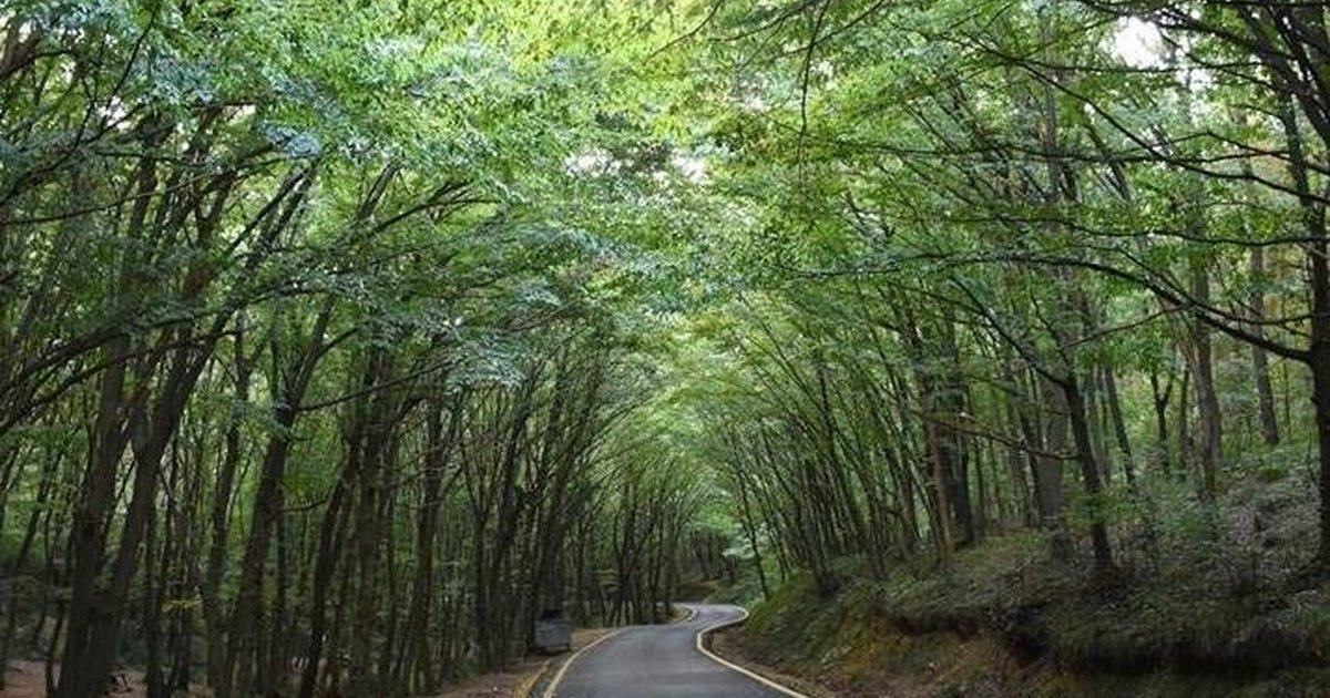 21 ilde orman sınırları dışına çıkarılan alanlar